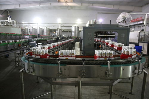 餐桌上的食品安全無小事,走進沈陽綠色工廠,探訪神秘生產線