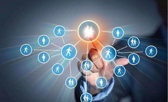 為何越來越多的人做京東新型店群項目,與傳統(tǒng)模式相比有什么優(yōu)勢